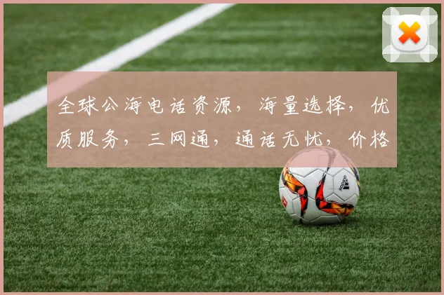 全球公海电话资源，海量选择，优质服务，三网通，通话无忧，价格实惠，轻松接入。